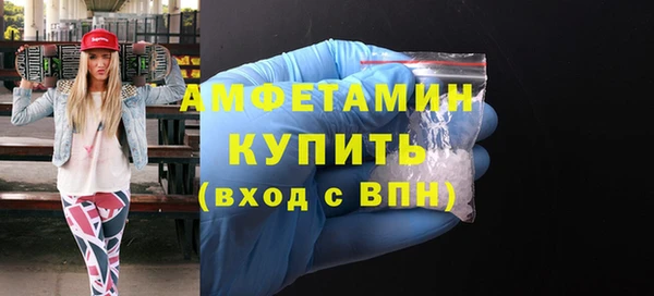 гашик Осинники
