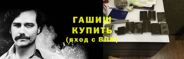 индика Весьегонск