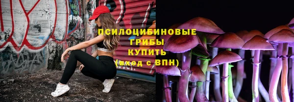 гашик Осинники
