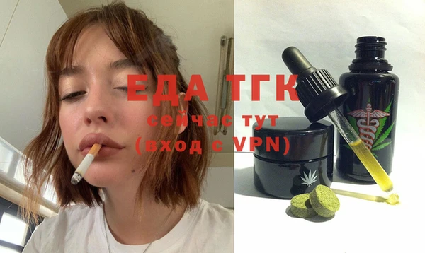 гашик Осинники