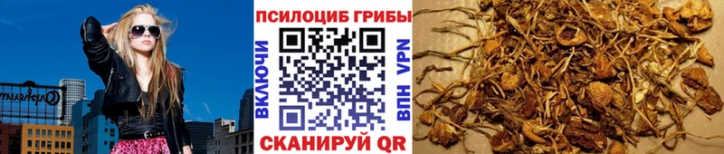 Псилоцибиновые грибы MAGIC MUSHROOMS  хочу   Кувандык 