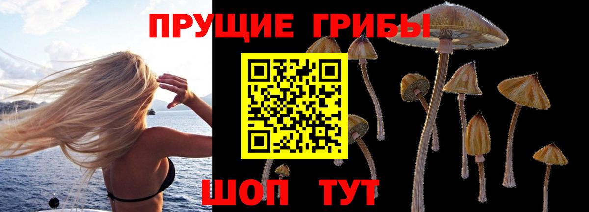 наркотики  Кувандык  Псилоцибиновые грибы прущие грибы 